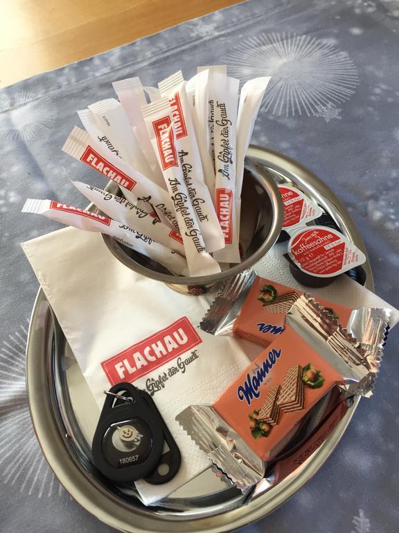 Ferienwohnungen Ellmer Flachau Kültér fotó